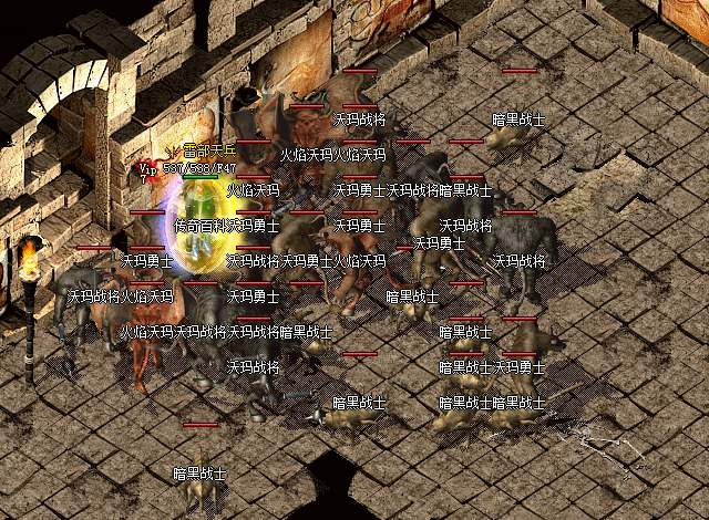 利用骷髅吸引怪物仇视本体远程施毒输出可单人击杀沃玛卫士